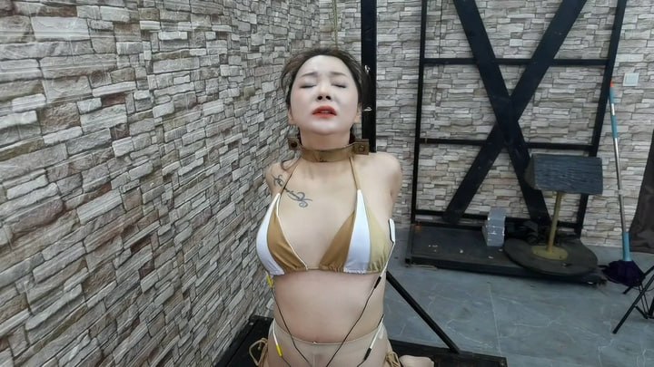 雅思马鞍椅禁锢,PJ,TK,郊狼电击,电击鞭齐上阵,把雅思折磨的不由自主的GC喷射
https://mypikpak.com/s/VOsUoIrDH4spAXkp4i3eMXI1o2